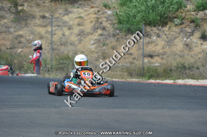 DSC (3135).JPG